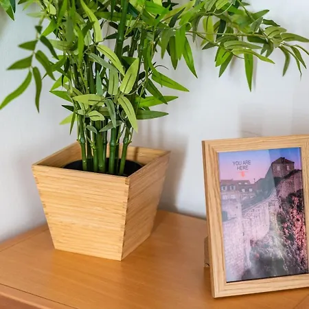 Ribambit Apartment Dubrovnik